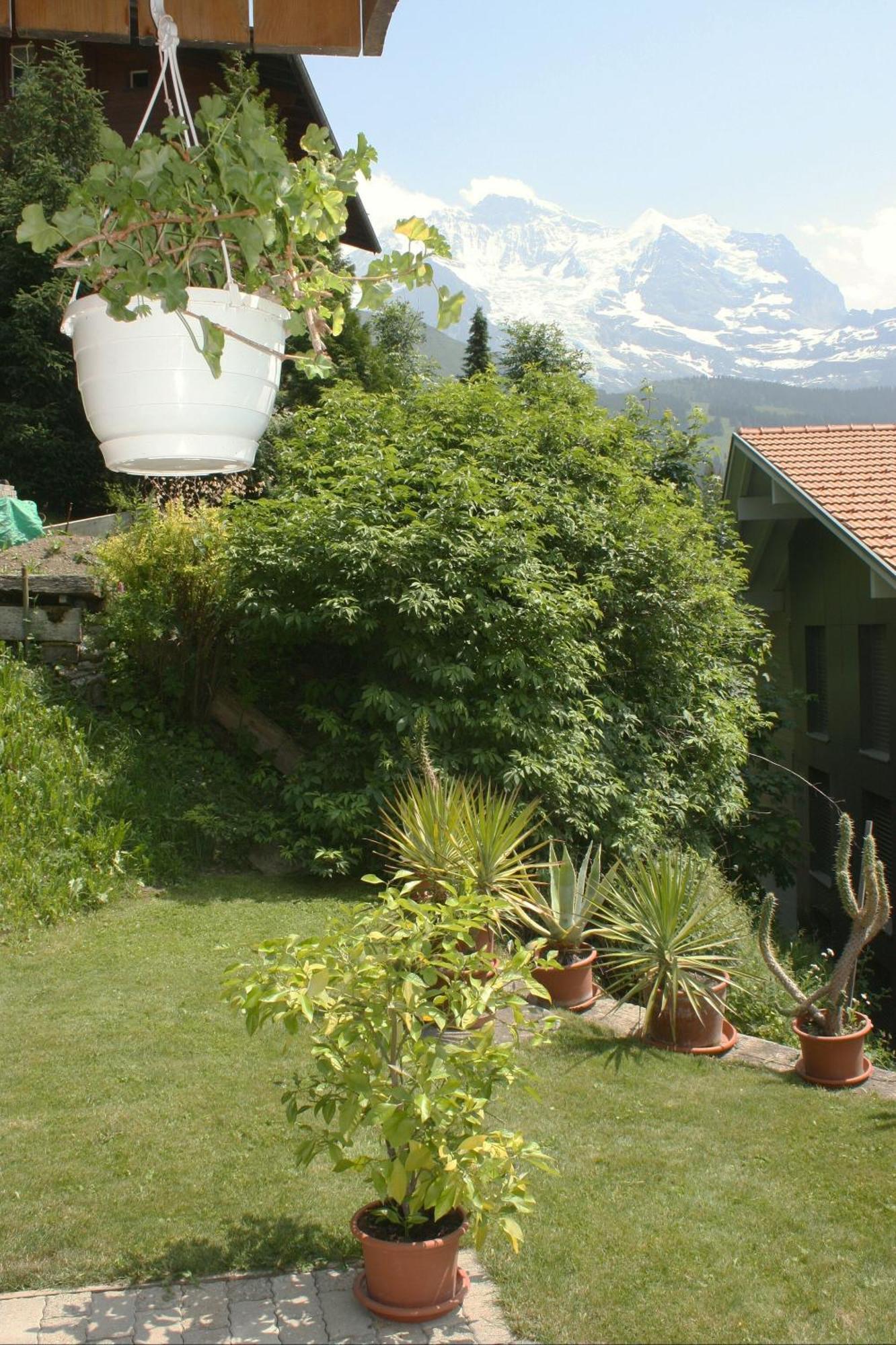 Chalet Protea Wengen Zewnętrze zdjęcie