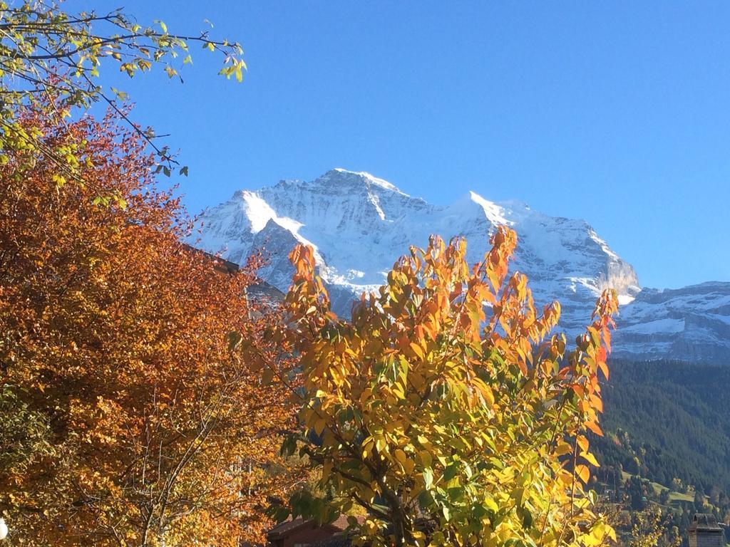 Chalet Protea Wengen Pokój zdjęcie