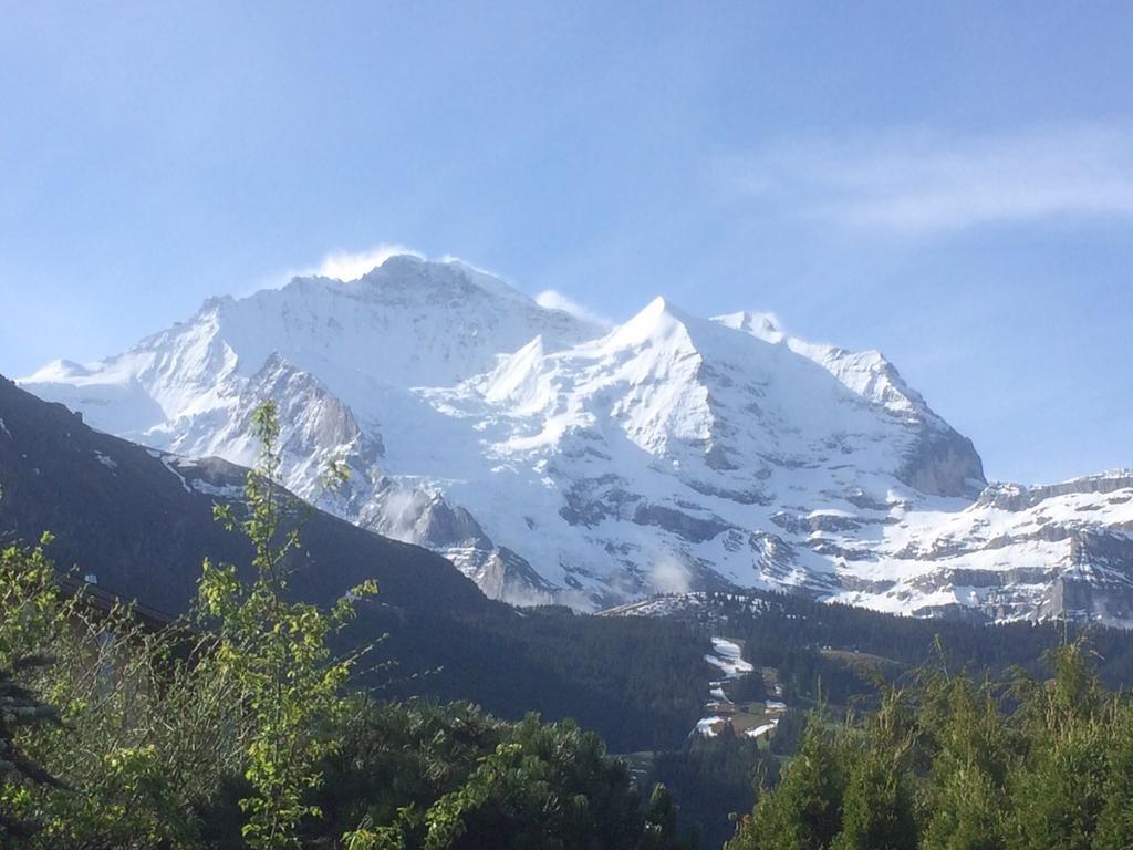 Chalet Protea Wengen Pokój zdjęcie